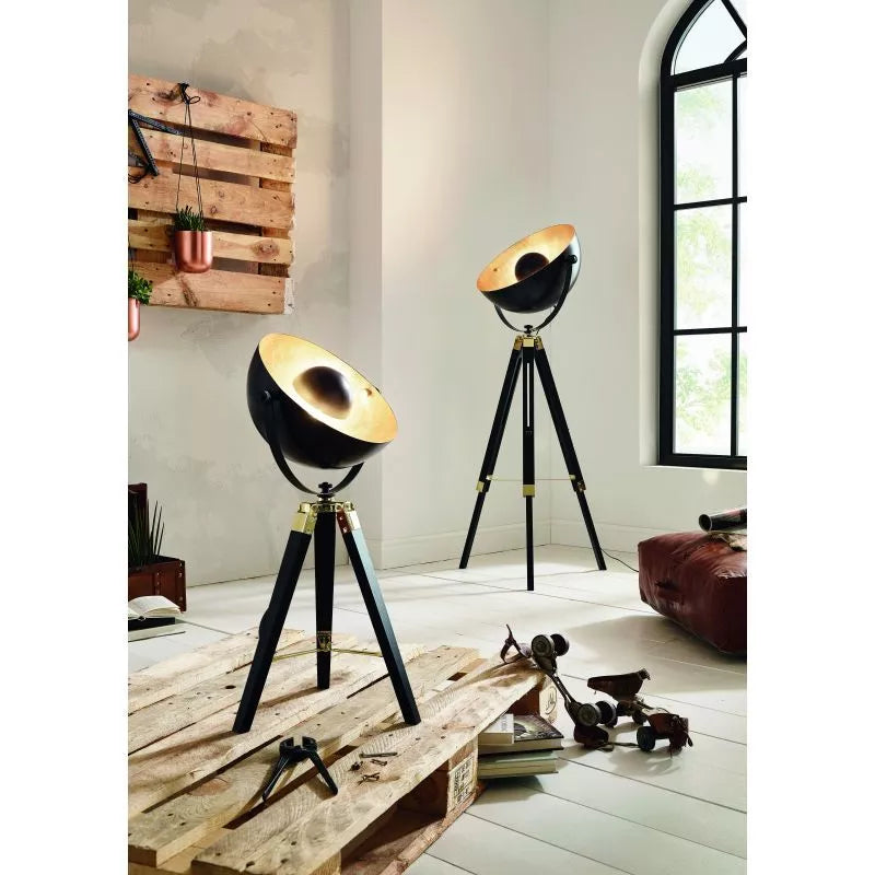 Black and Gold frame Eglo 49618 Covaleda Single Light Floor Lamp